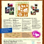 Actividades Viernes Actividades Viernes