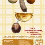 Aviso genios A Aviso genios A
