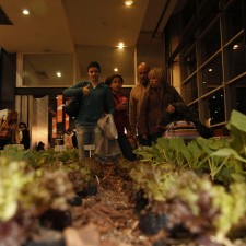 Caminos y Sabores 2012