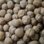 Nueces de Catamarca